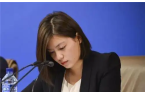翻译是一个复杂的过程